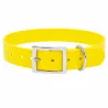 Collier chien fluo BIOGOLD taille standard 4 couleurs