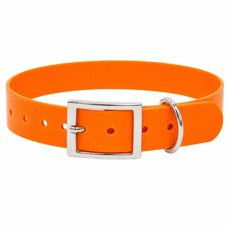 Collier chien fluo BIOGOLD taille standard 4 couleurs