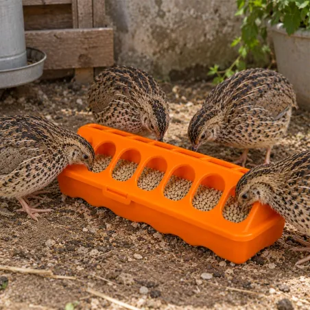 Mangeoire linéaire à trous plastique 20 cm poussins et cailles - Orange GAUN