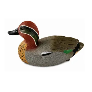 Appelant Sarcelle Mâle en Mousse 28cm - Gibier d'Eau