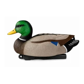 Appelant Colvert mâle mousse 35,5 cm - Gibier d'eau