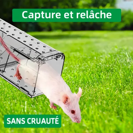 Lot de 2 cages à souris en plastique résistantes avec aération