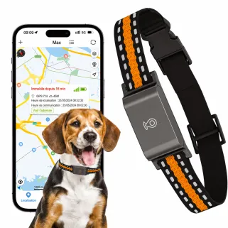 Collier traceur GPS 4G pour animaux chien - IP65 - Application gratuite