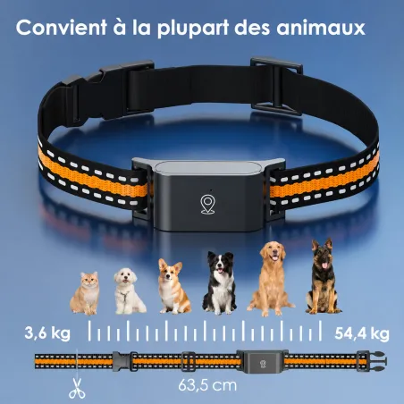 Collier traceur GPS 4G pour animaux chien - IP65 - Application gratuite