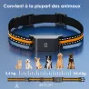 Collier traceur GPS 4G pour animaux chien - IP65 - Application gratuite