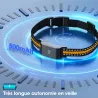 Collier traceur GPS 4G pour animaux chien - IP65 - Application gratuite
