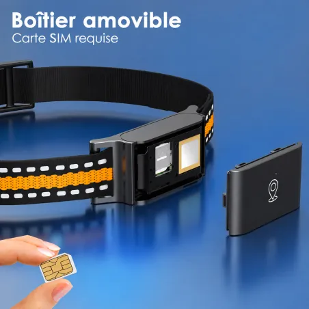 Collier traceur GPS 4G pour animaux chien - IP65 - Application gratuite