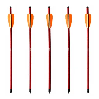 5 Flèches pour arbalète Jaguar résistantes alu 16" 150 livres