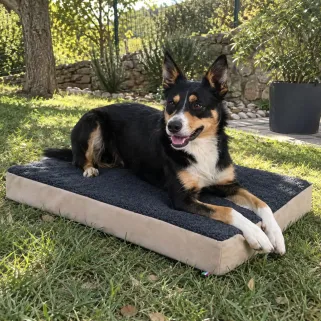 Matelas à mémoire de forme pour chien 3 tailles