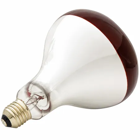 Ampoule infrarouge pour éleveuse 60 W