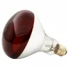 Ampoule infrarouge pour éleveuse 60 W