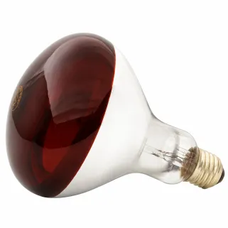 Ampoule chauffante infrarouge 250 W