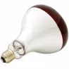 Ampoule infrarouge pour éleveuse 100 W