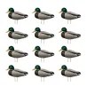 Lot de 12 silhouettes 2D colverts mâles flockées avec tige - 46 x 21 cm