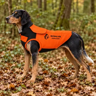Gilet de protection pour chien SURVIVOR T75 - Anti-ronce avec cape et adaptateur intégré