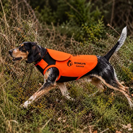Gilet de protection Somlys Survivor T70 pour chien de chasse