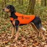 Gilet de protection Somlys Survivor T70 pour chien de chasse