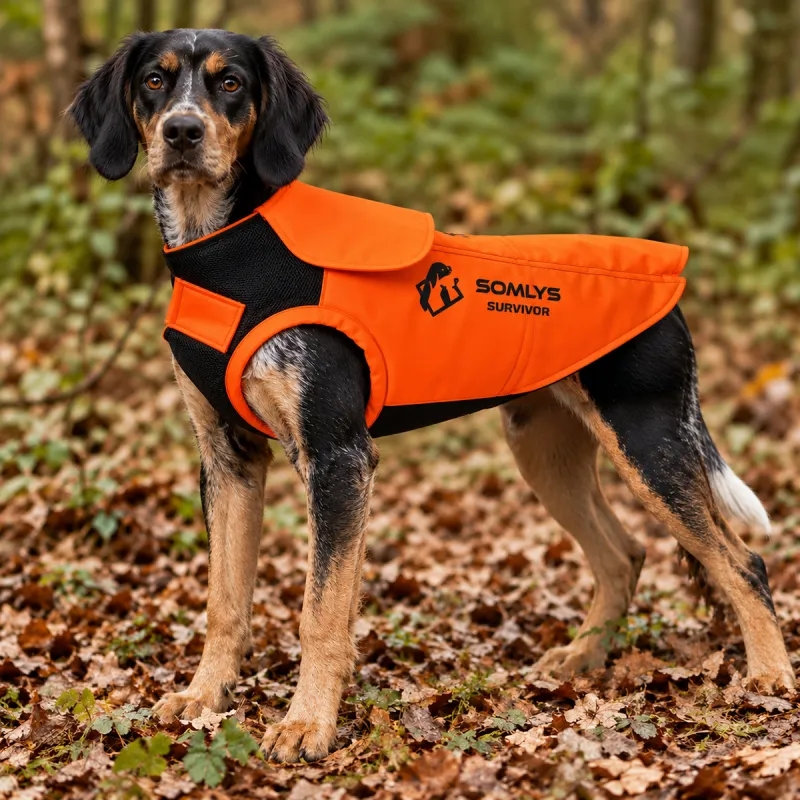 Gilet de protection Somlys Survivor T70 pour chien de chasse