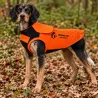 Gilet de protection Somlys Survivor T70 pour chien de chasse