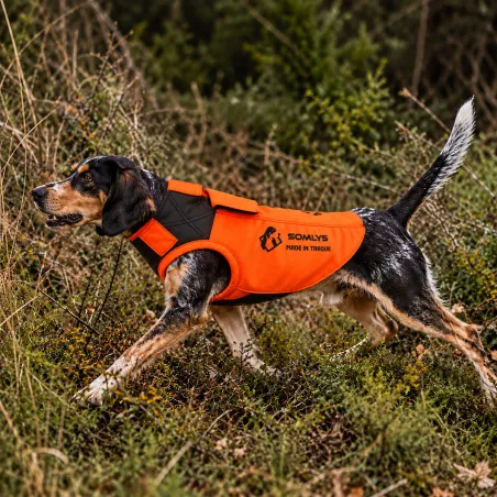Gilet de protection Somlys Made in Traque T70 pour chien de chasse