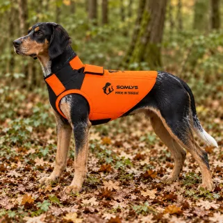 Gilet de protection Somlys Made in Traque T70 pour chien de chasse