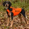 Gilet de protection Somlys Made in Traque T70 pour chien de chasse