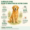 Collier Supplémentaire pour DT2000 en nylon jaune