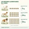 Chaussettes de Noël Festives pour Chat avec Friandises 