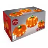 Set de 3 Citrouilles LED Blanc Chaud - Décoration Automnale Éclairage Intérieur/Extérieur