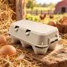 124 boîtes à œufs carton 2 × 6 séparables | Ducatillon
