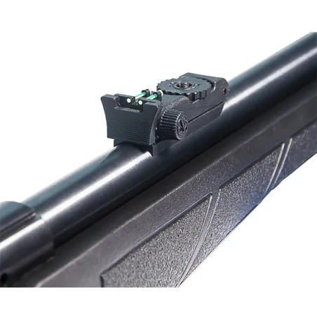 Carabine à verrou 22LR + fourreau + silencieux + lunette 3-9 x 40