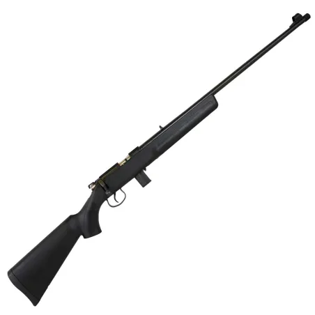 Carabine à verrou 9 coups NR15 cal 22LR 106cm