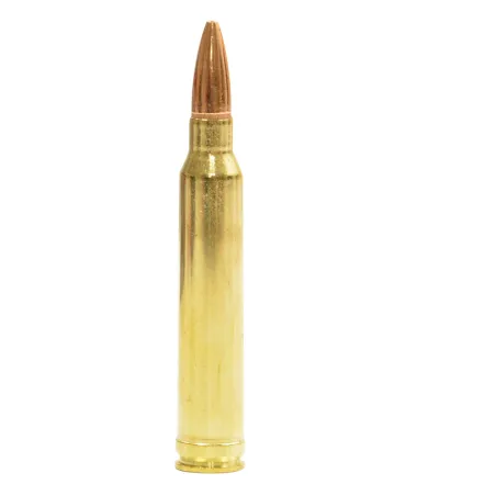 Boîte de 20 balles Power Max 300 WM 180 grs - 11.66g 902m/s