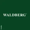 Jumelles pliantes Waldberg 16x32 – Compactes et puissantes