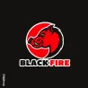 Lot de 6 bouteilles de goudron Black Fire 0,5 kg | Ducatillon