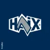 Chaussures HAIX Black Eagle 600 V GTX S7S ESD | Ducatillon