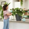 Vaporisateur à plantes 0,7 L Elho