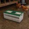 Cage de transport petit gibier plastique 60 X 30 X 26 cm 