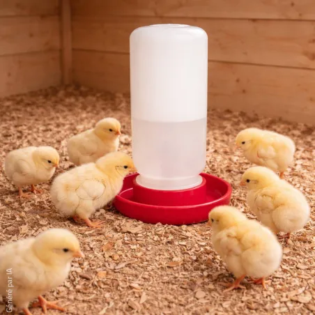 Abreuvoir siphoïde poussins et cailles 1 L fermeture à vis