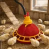 Abreuvoir automatique poussins/cailles à suspendre