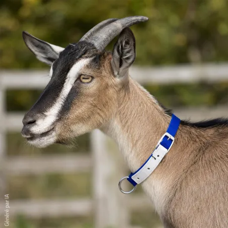  Collier moutons et chèvres nylon 