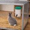 10 abreuvoirs à pipette OLBA 1 L pour lapins | Ducatillon