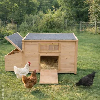 Poulailler en bois avec fenêtre toit en asphalte 3 poules