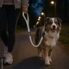Laisse pour chien avec poignée réfléchissante - Gris 100 cm