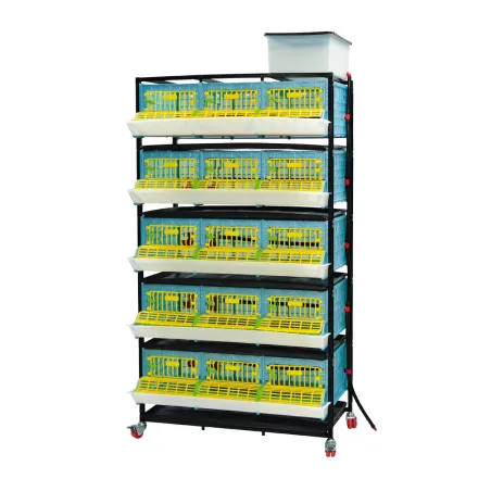 Cage engraissement cailles 5 étages