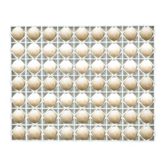 Panier d'incubation pour 63 oeuf de canne/dinde TR63