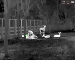 Monoculaire Lynx vision thermique 15,8 x 6,1 x 5,7cm IP67