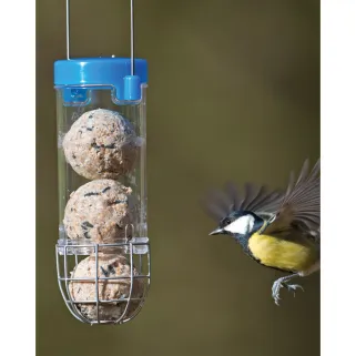 Mangeoire à boule de graisse éco