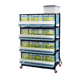 Cage cailles pondeuses 3 compartiments 4 étages - CIMUKA