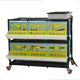 Cage engraissement caille/perdrix 2 étages - CIMUKA